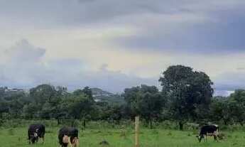 Imagem 2: AREA PARA LOCAÇÃO DE 33.000m² - AV. LA PAZ