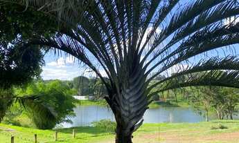 Imagem 4: Terrenos e pasto urbana BR 153 jaiara/Anápolis