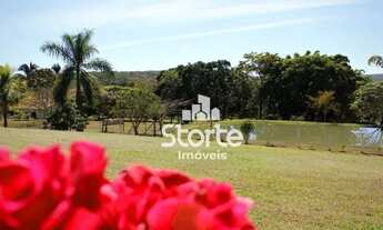 Imagem 9: Fazenda à venda de PORTEIRA FECHADA, 6 alqueires por R$ 4.500.000 - Zona Rural - Catalão/G