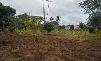 Imagem 5: Mini sítio pra relaxar