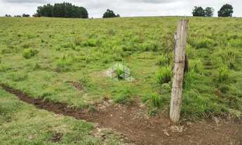 Imagem 6: Ótima área de terras em Lajeado Grande São Francisco de Paula