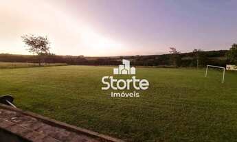 Imagem 10: Fazenda à venda de PORTEIRA FECHADA, 6 alqueires por R$ 4.500.000 - Zona Rural - Catalão/G