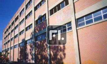 Imagem 4: Galpão Isolado - Rodovia Ayrton Senna, próximo ao Rodoanel