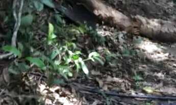 Imagem 3: Chácara com rio oportunidade 105 mil