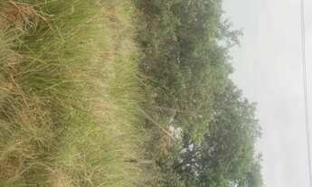 Imagem 2: Vendo terreno em Araruama