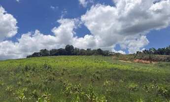 Imagem: Terrenos para venda tem 1000 metros quadrados