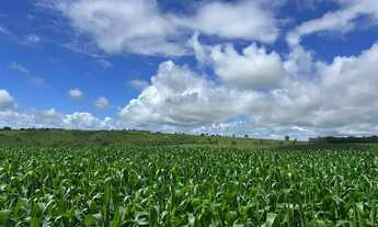 Imagem: Imóvel para venda tem 363000 metros quadrados