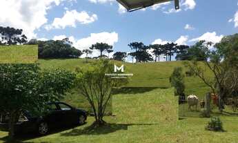 Imagem 7: Chácara com Casa em Vila seca