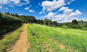 Imagem 4: EXUBERANTE SÍTIO COM 12 HECTARES