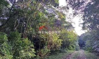 Imagem 7: Lote em rua colinas - Colinas - São Francisco de Paula/RS