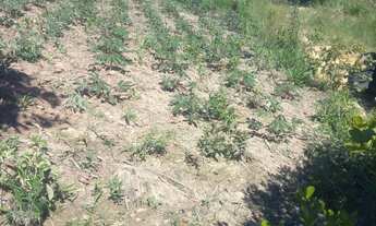 Imagem 6: Sítio a venda Chácara com venda por R$115.000