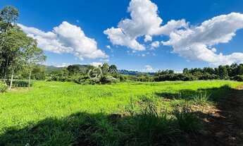 Imagem 2: EXUBERANTE SÍTIO COM 12 HECTARES