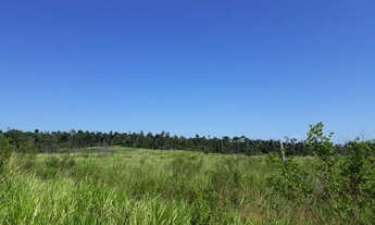 Imagem: 50 hectares a 20 km de Castanhal por 400