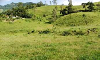 Imagem 3: Maravilhosa Chácara com 2,6 hectares na serra da Mantiqueira em Delfim Moreira/MG