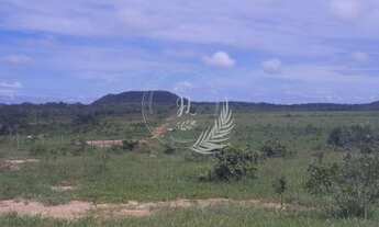 Imagem 6: Fazenda à venda, Rural, TESOURO - MT