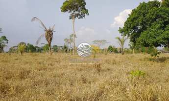 Imagem 2: Venda - Sítio - Machadinho D'Oeste - 19 Alqueires