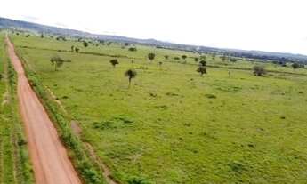 Imagem: Fazenda em Filadélfia - Araguaína
