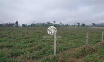 Imagem 5: Venda - Sítio - Machadinho D'Oeste - 30 Alqueires