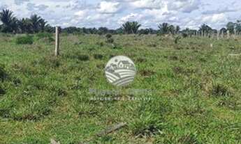 Imagem 7: Venda - Sítio - Machadinho D'Oeste - 8 Alqueires