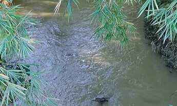 Imagem 4: Terra em Limoeiro rod. V. Nova x Castelo