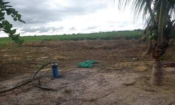 Imagem 3: FAZENDA 450 ALQUEIRES 12 KM DE SANTA MARIA