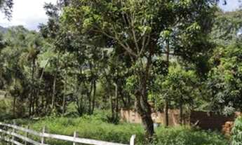 Imagem 5: Excelente terreno com 1.000m2 na serra da Mantiqueira em Wenceslau Brás/MG