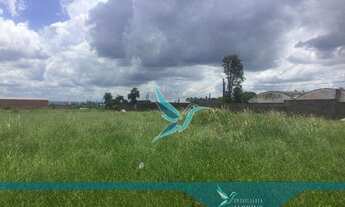 Imagem 7: Terreno Industrial à venda, Leonor, Londrina - TE0005