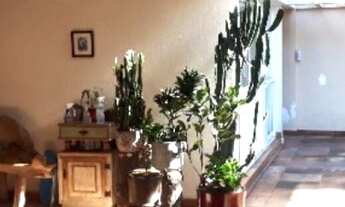 Imagem 6: Rua tranquila, arborizada, que tal planejar planos para a sua familia!