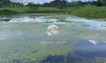 Imagem: Venda - Sítio - Jaru - 14 alqueires