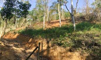 Imagem 4: VENDO 3 TERRENOS EM PINHEIRAL, ESTRADA DOS PAPAGAIOS, K5