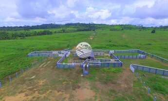 Imagem: Venda - Fazenda - Machadinho D x27 Oeste