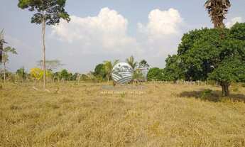 Imagem 5: Venda - Sítio - Machadinho D'Oeste - 19 Alqueires