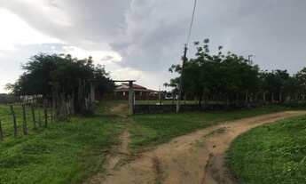 Imagem 7: Fazenda a venda próximo a Quixadá/CE