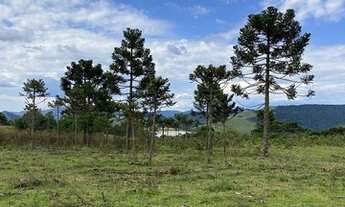 Imagem 3: Urubici/Sítio/Área Rural com 3,00ha de área total, para venda. Pericó, São Joaquim (SC