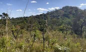 Imagem 4: Chácara DF 190 pertinho asfalto 5000m2