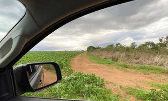 Imagem 4: Fazenda no Município de mambaí, GO<br>com área total de 950 alqueires ou 4.600 hecta