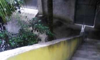 Imagem 3: Aluga-se casa Casa com 2 dormitórios