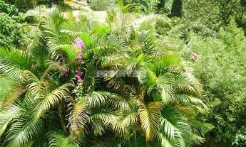 Imagem 5: Casa com 4 dormitórios para alugar, 300 m² por R$ 9.200,01/mês - Miolo da Granja - Cotia/S