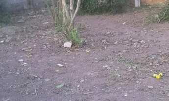 Imagem 5: Vendo lote Terreno / lote com venda por R$65.000