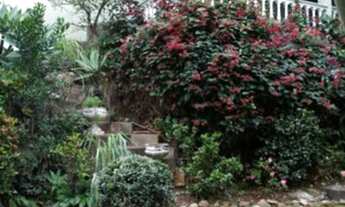 Imagem 6: Casa,VENDA,Agronômica,Florianópolis-COD2182