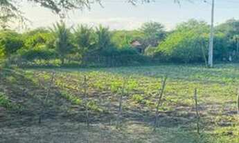 Imagem 3: Terreno 37 x 65 Chácara com venda por R$35.000