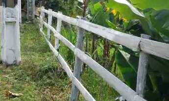 Imagem 7: Sitio ascurra Chácara com venda por R$190.000