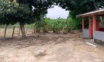 Imagem 6: Vendo/Troco Sitio na sede de alto alegre