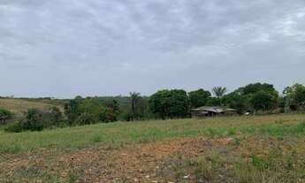 Imagem 4: Vendo/Troco Sitio na sede de alto alegre