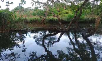 Imagem 7: TERRENO RURAL MUITO BONITO