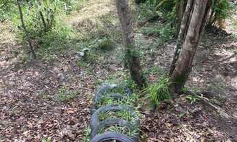 Imagem 3: Sítio em Curuçá com Igarapé