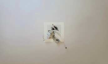 Imagem 6: Casa para Aluguel - Jardim Brasil , 4 Quartos, 414 m2