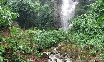 Imagem 3: Sítio Chácara para alto padrão, local especial R$299.500,00