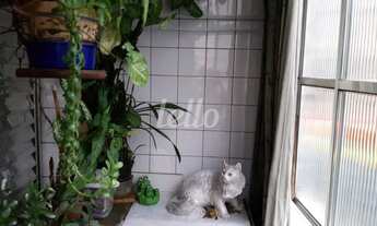 Imagem 7: São Paulo - Apartamento Padrão - Bela Vista