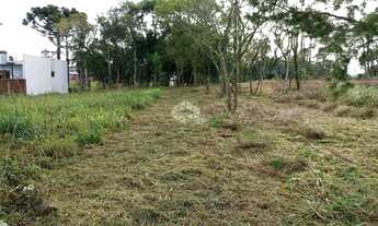 Imagem 4: Terreno com 813m² em Nova Petrópolis